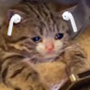 Meet your Posher, Quarantined with montse